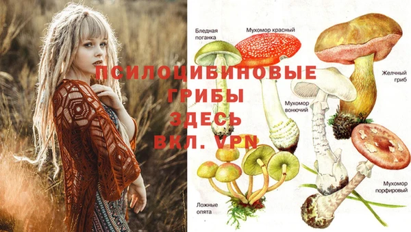 спиды Майский