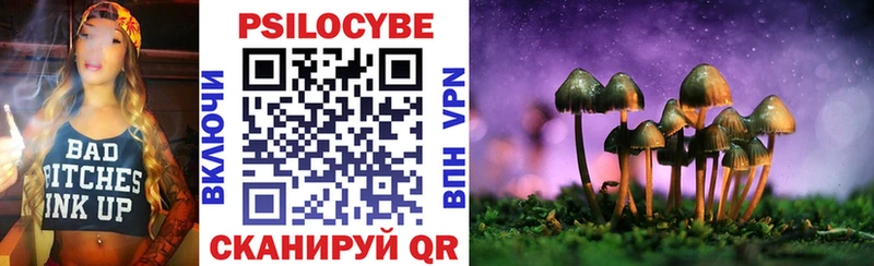 Псилоцибиновые грибы мухоморы  купить наркотик  Тихорецк 